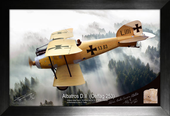 Albatros D. II Austro-Hungarian Oeffag 253 Rudder Linen Relic Display