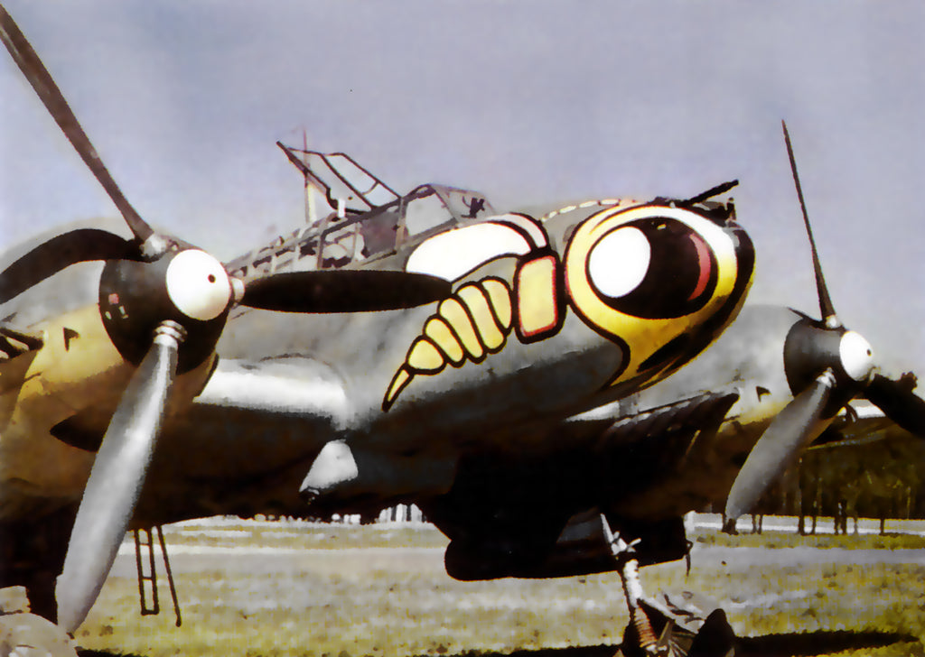 Special Messerschmitt Bf 110 D ZG.1 'Wespe' Nose Art 24x18 Relic Display
