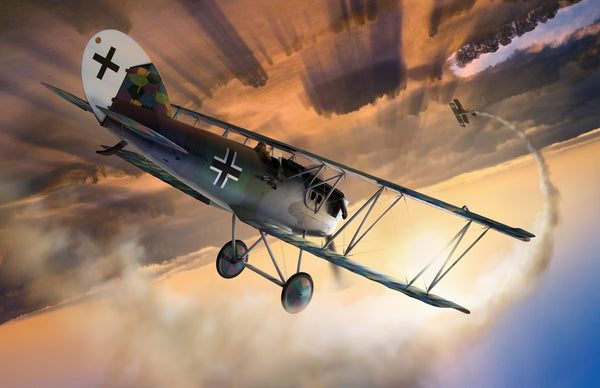 German World War I Pfalz D.XII 2486/18 by Ron Cole