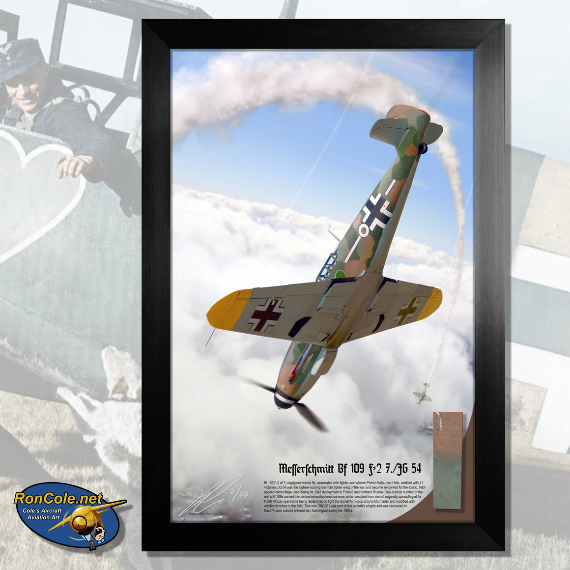 Luftwaffe BF 109 F-2 JG 54 Rare Brown/Green Camouflage Relic Display