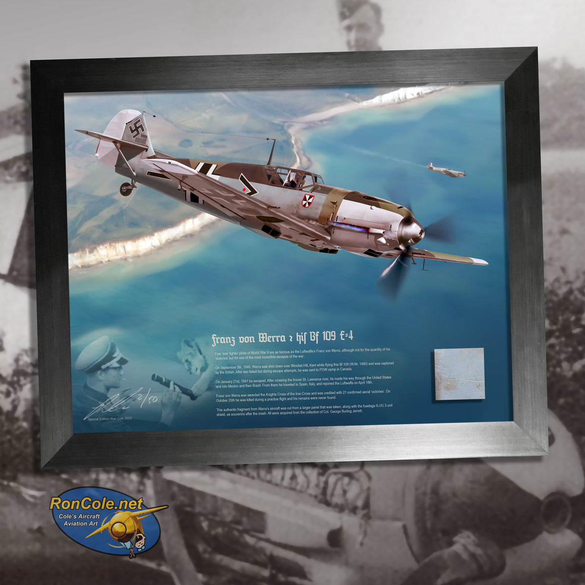 Luftwaffe Bf 109 'Ace' Franz von Werra Combat Flown Relic Display