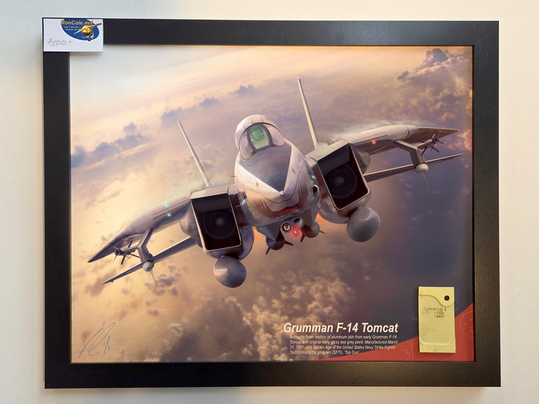 SPECIAL 20x16-inch F-14 Tomcat Flown Aluminum Skin Relic Display - One-of-a-kind