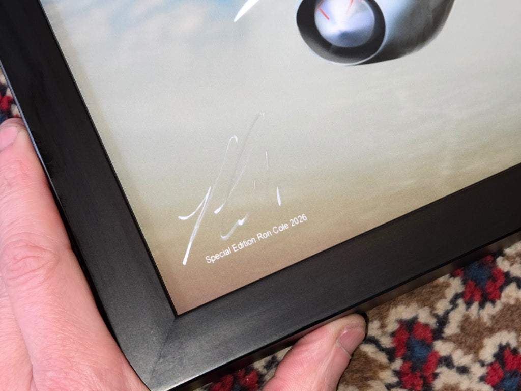 SPECIAL 30x15-inch B-58 Hustler (s/n 55-0665) Honeycomb Laminate Relic Display