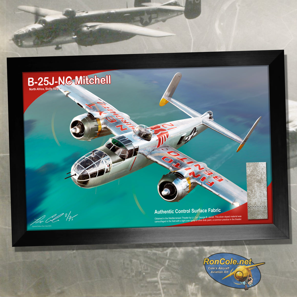 B-25J-NA Mitchell Mediterranean Theater Flown Relic Display by Ron Cole