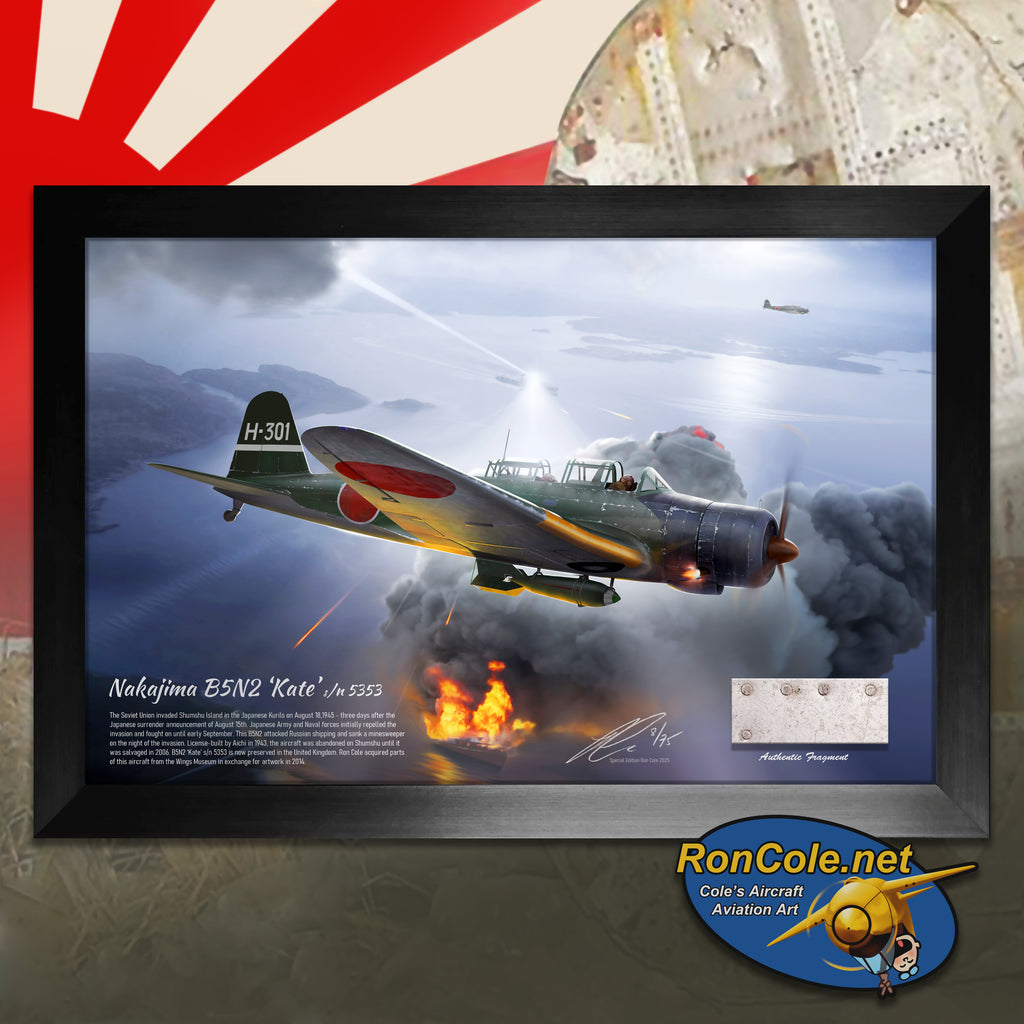 Japanese B5N2 'Kate' s/n 5353 Combat Loss Relic Display