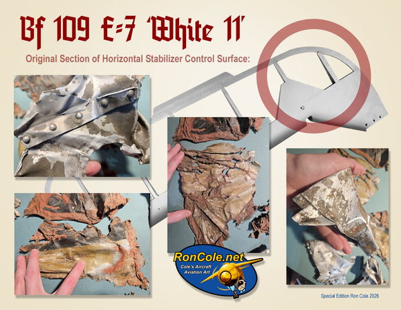 Battle of Britain: Luftwaffe Bf 109 E-7 1.(Jagd)/LG 2 Combat Loss Relic Display