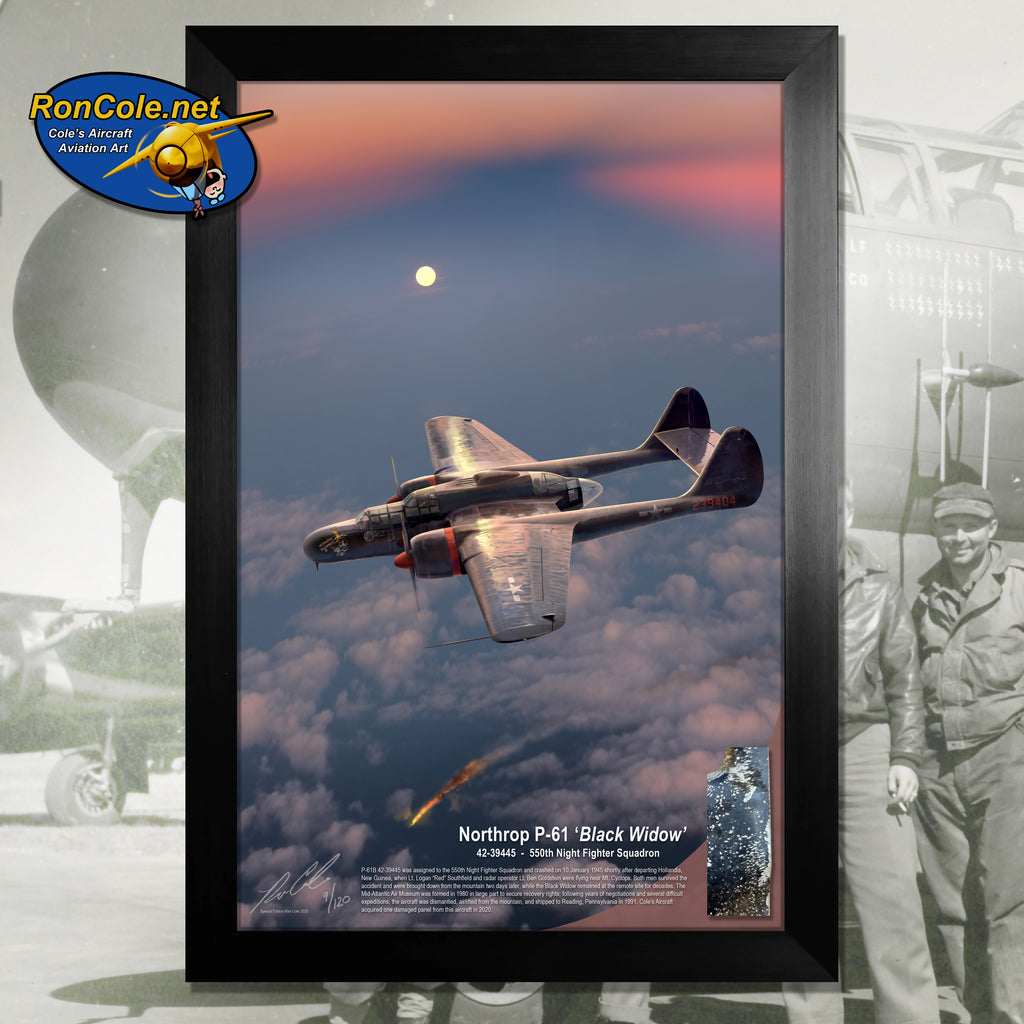 P-61 'Black Widow' Night Fighter Combat Loss Relic Display by Ron Cole