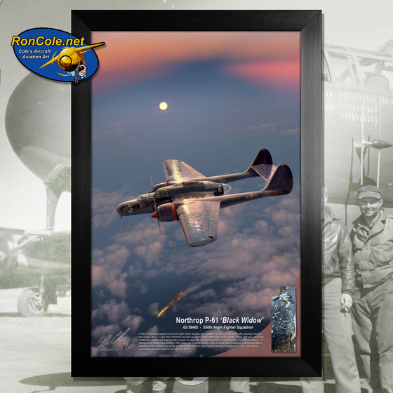 P-61 'Black Widow' Night Fighter Combat Loss Relic Display by Ron Cole