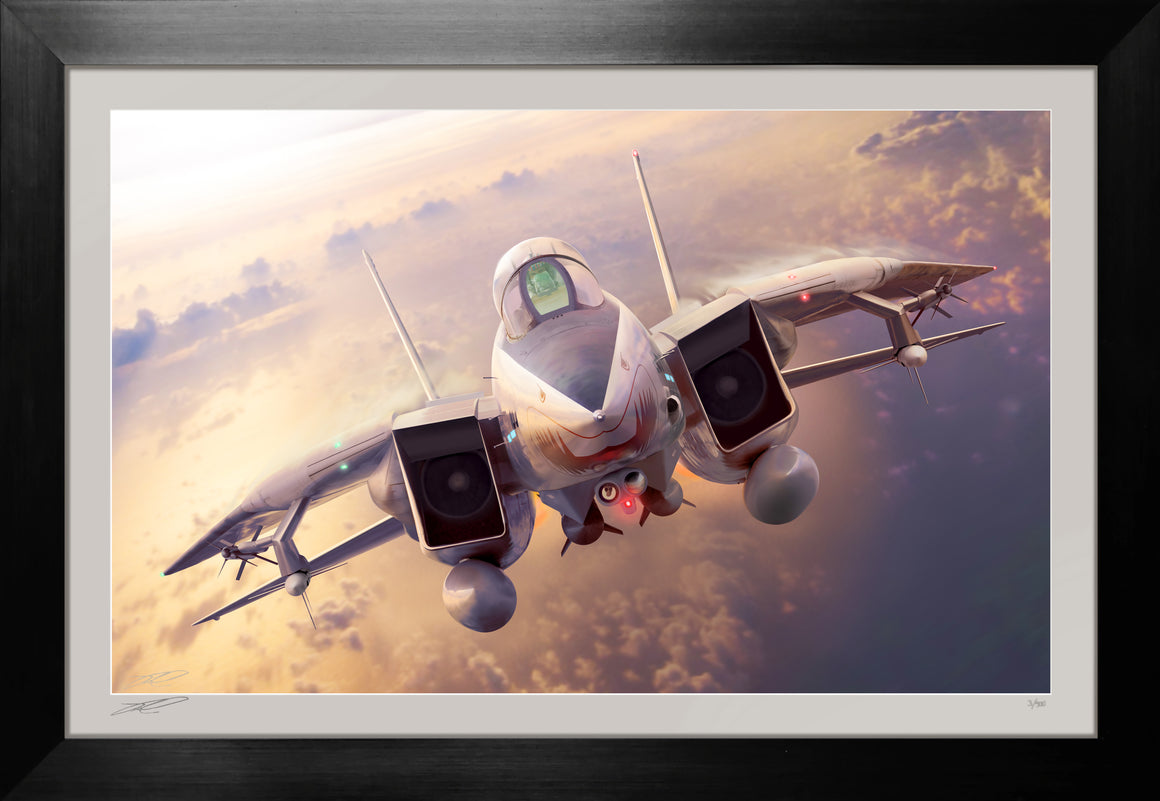 Grumman F-14 Tomcat Tribute by Ron Cole