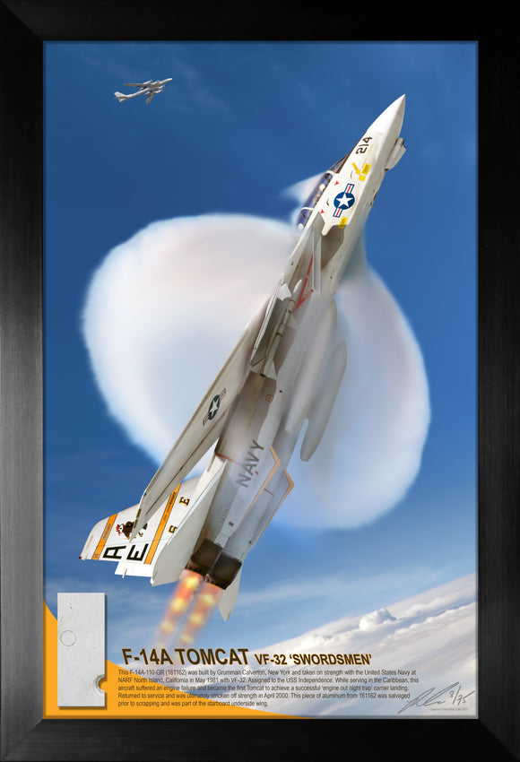 F-14 Tomcat (BuNo 161162) VF-32 'Swordsmen' Aluminum Skin Relic Display by Ron Cole
