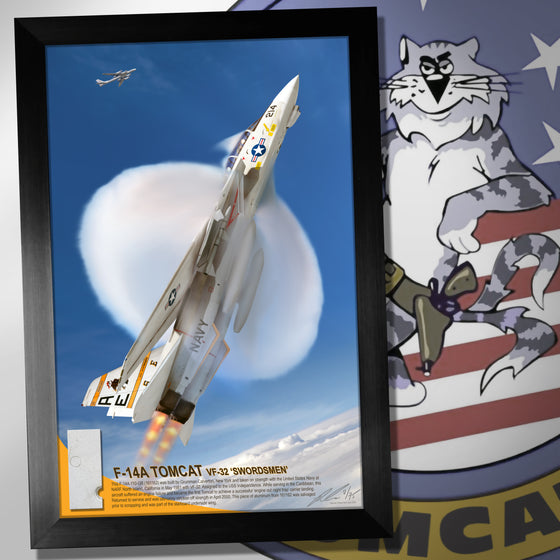 F-14 Tomcat (BuNo 161162) VF-32 'Swordsmen' Aluminum Skin Relic Display by Ron Cole