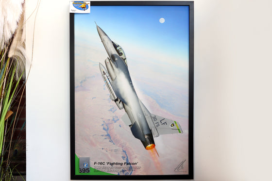 Special F-16C Fighting Falcon 310th Fighter Squadron 20x30-inch Relic Display