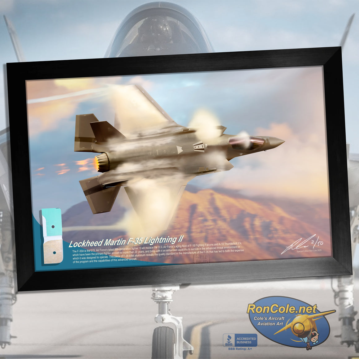 Lockheed Martin F-35 Thunderbolt II Flown Relic Display