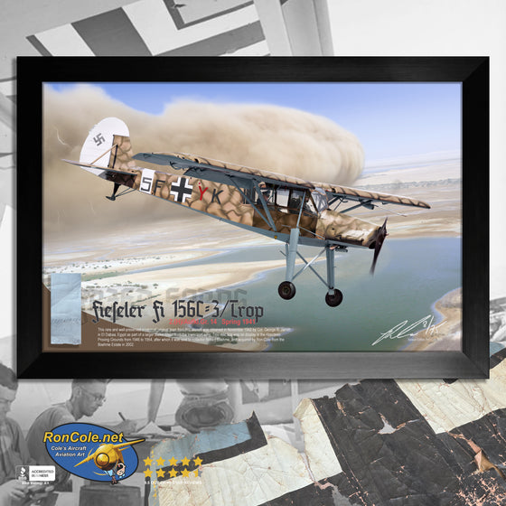 North Africa: Luftwaffe Fi-156 Storch Combat Loss Egypt 1942 Relic Display