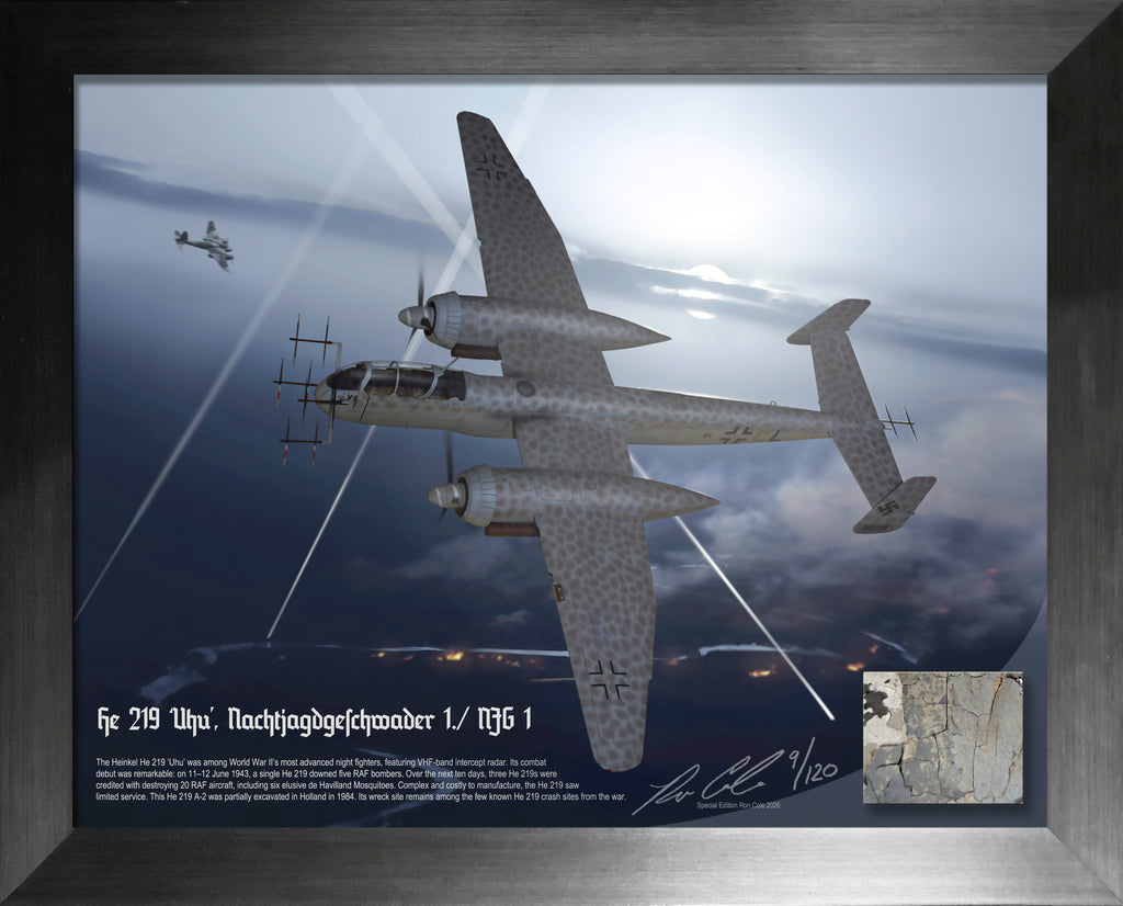German Luftwaffe Heinkel He 219 A-2 'Uhu' Combat Loss Relic Display