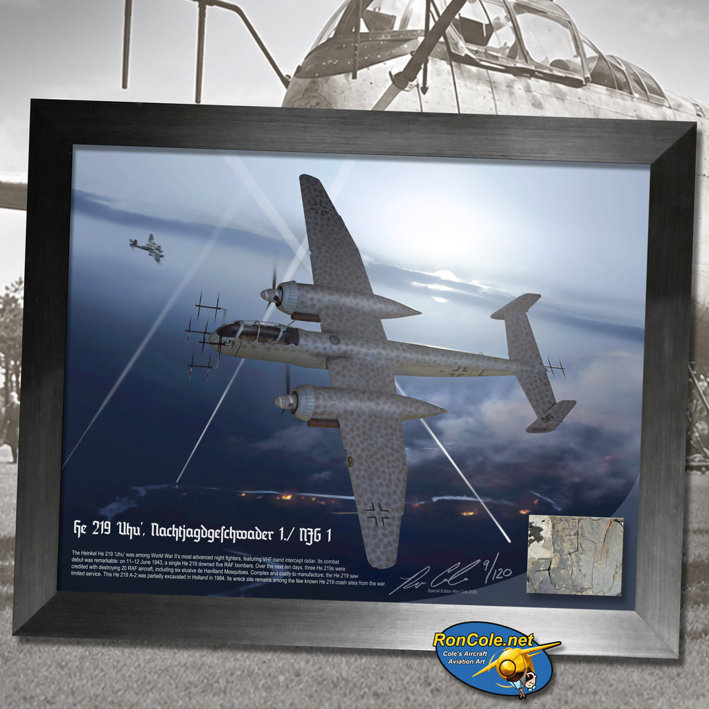 German Luftwaffe Heinkel He 219 A-2 'Uhu' Combat Loss Relic Display