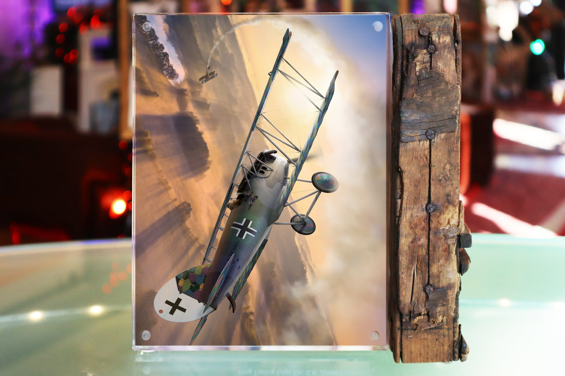 German WWI Pfalz D.XII Wing Spar 6x8-inch Acrylic Desk Display