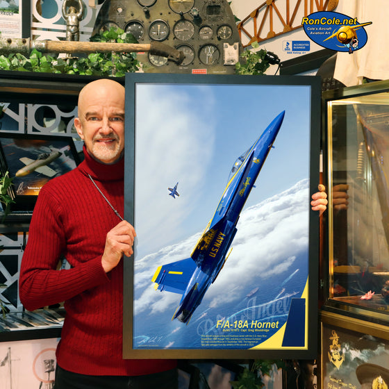 SPECIAL 24x18 Blue Angels F/A-18A #1 Hornet Honeycomb Skin Relic Display