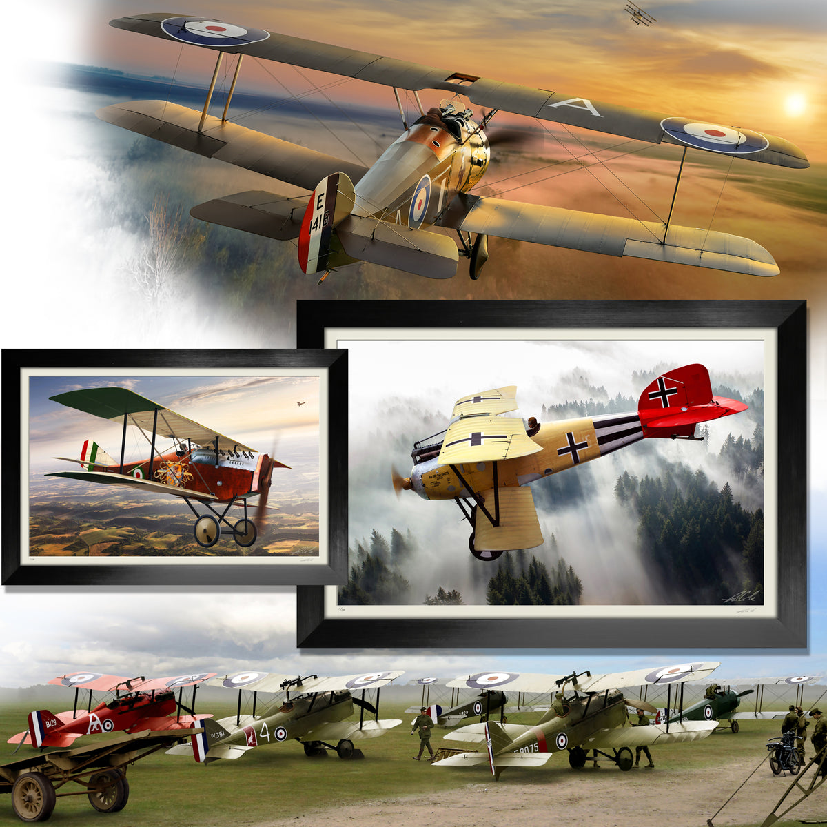 Ron Cole: Warbirds of the Great War