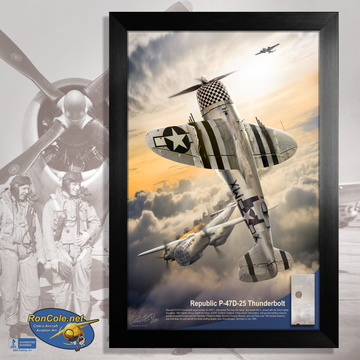 Republic P-47D Thunderbolt 'Bubble Top' Steel Skinning Relic Display by Ron Cole