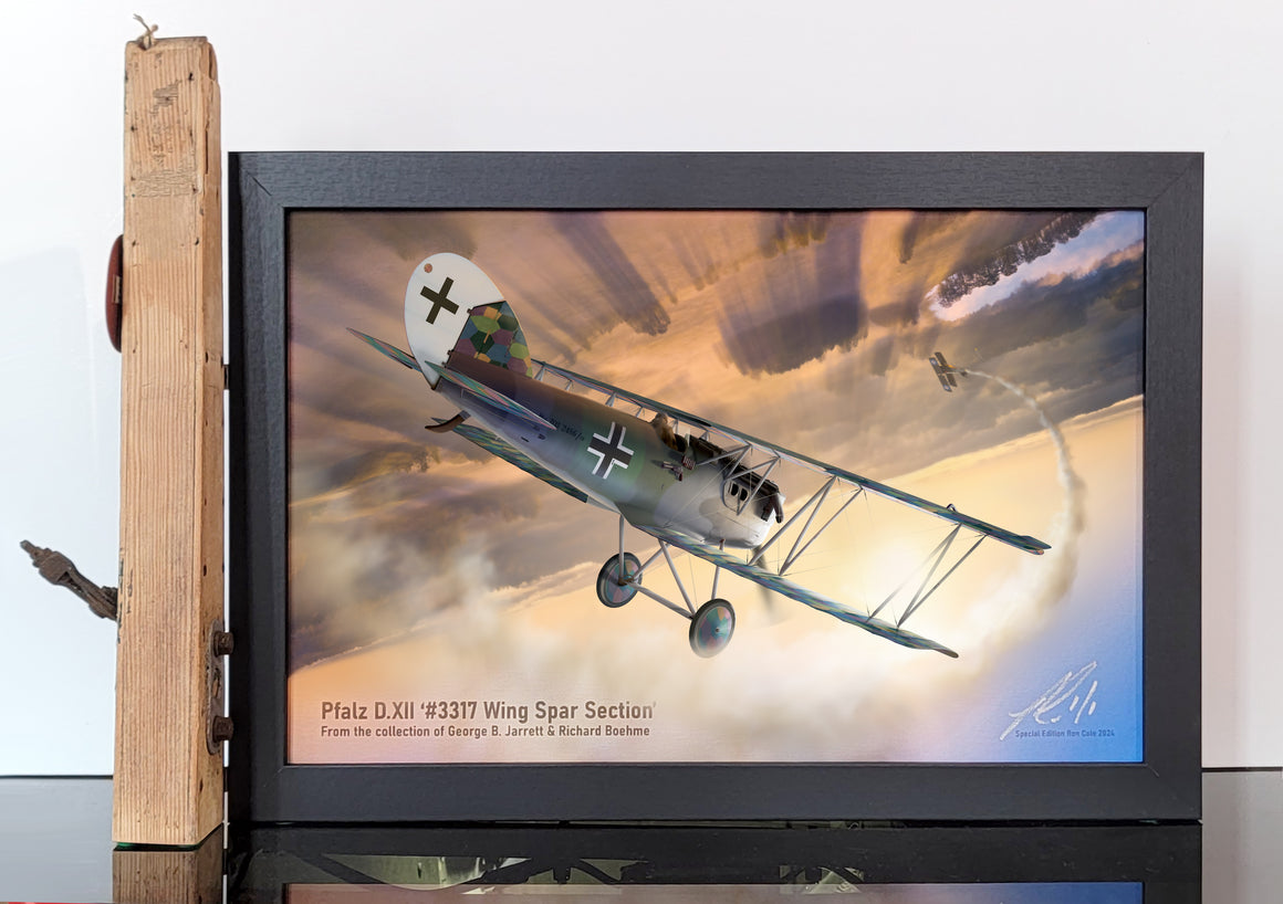 Special Pfalz D.XII s/n 2486/18 Wingtip Spar w/ Hardware Relic Display