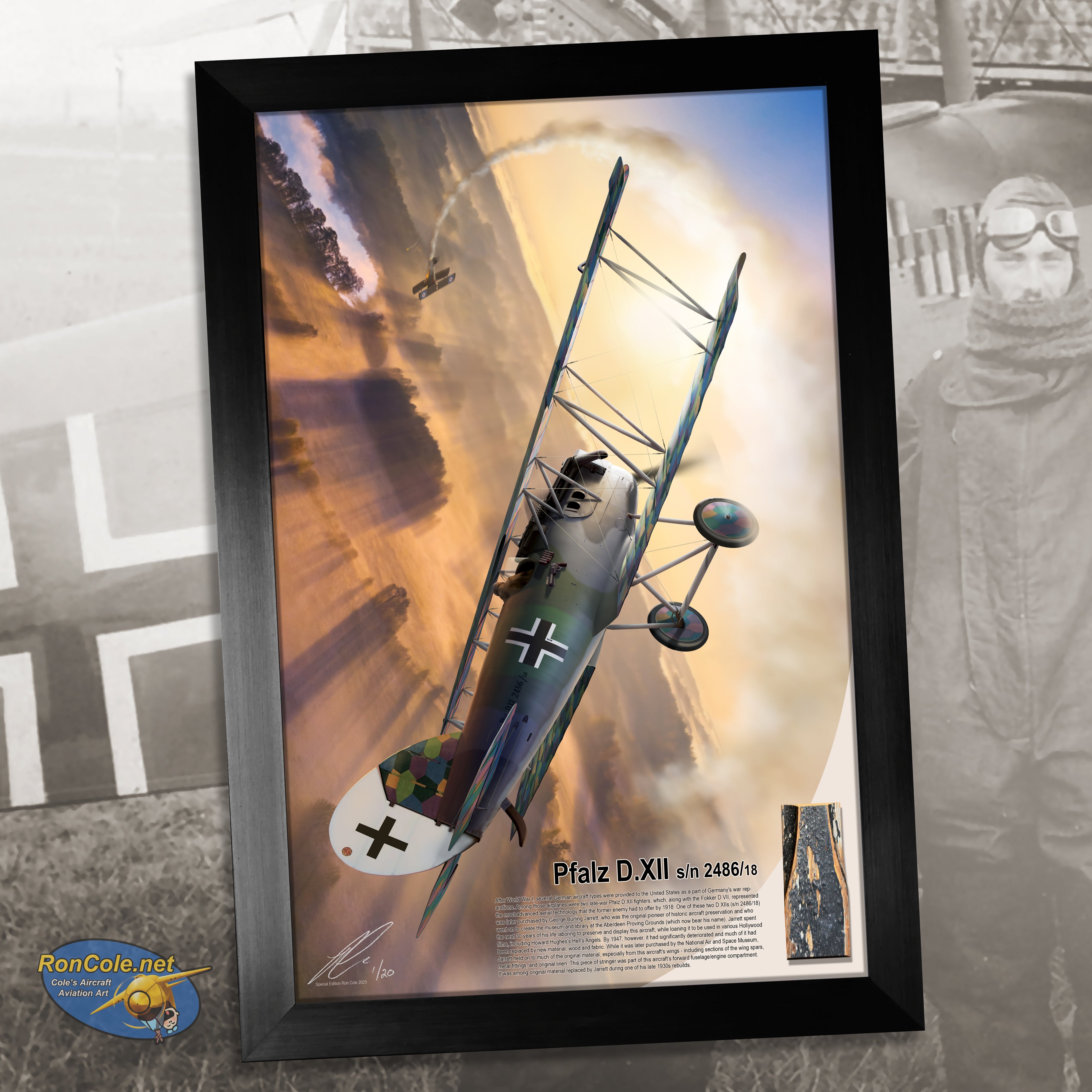 German World War I Pfalz D.XII Relic Display