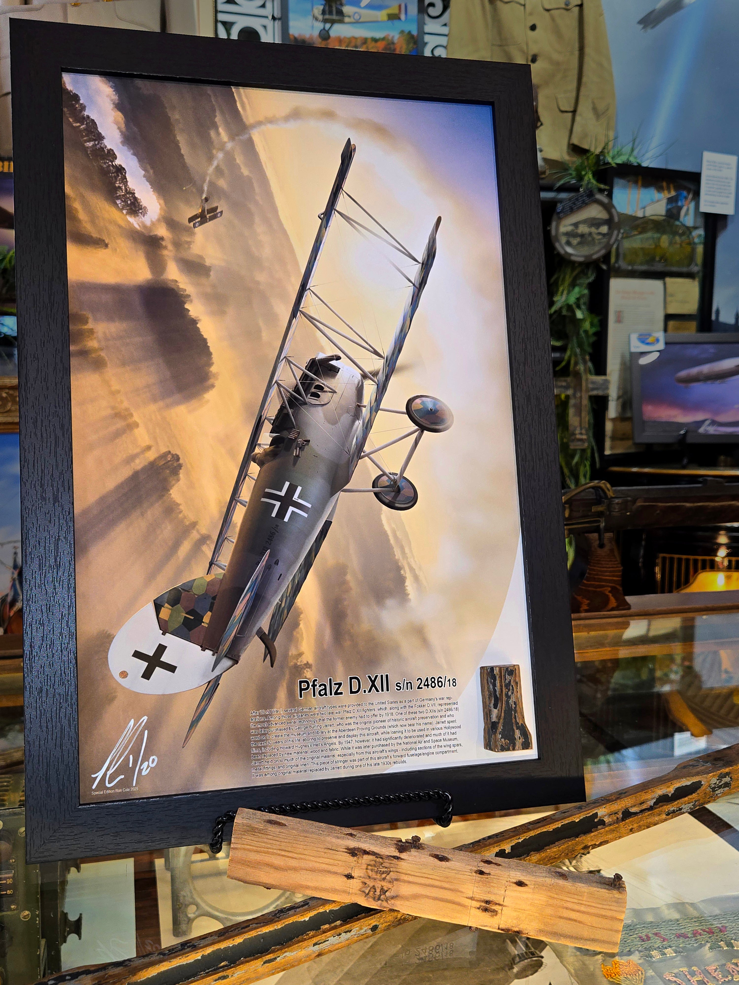 German World War I Pfalz D.XII Relic Display