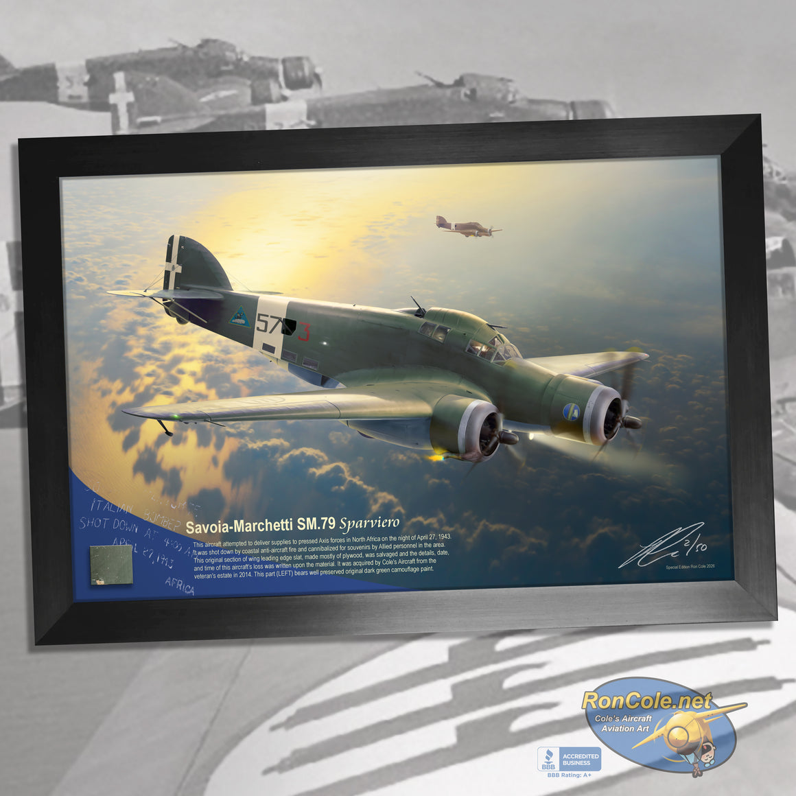 Italian Savoia-Marchetti SM.79 Sparviero Combat Loss Relic Display