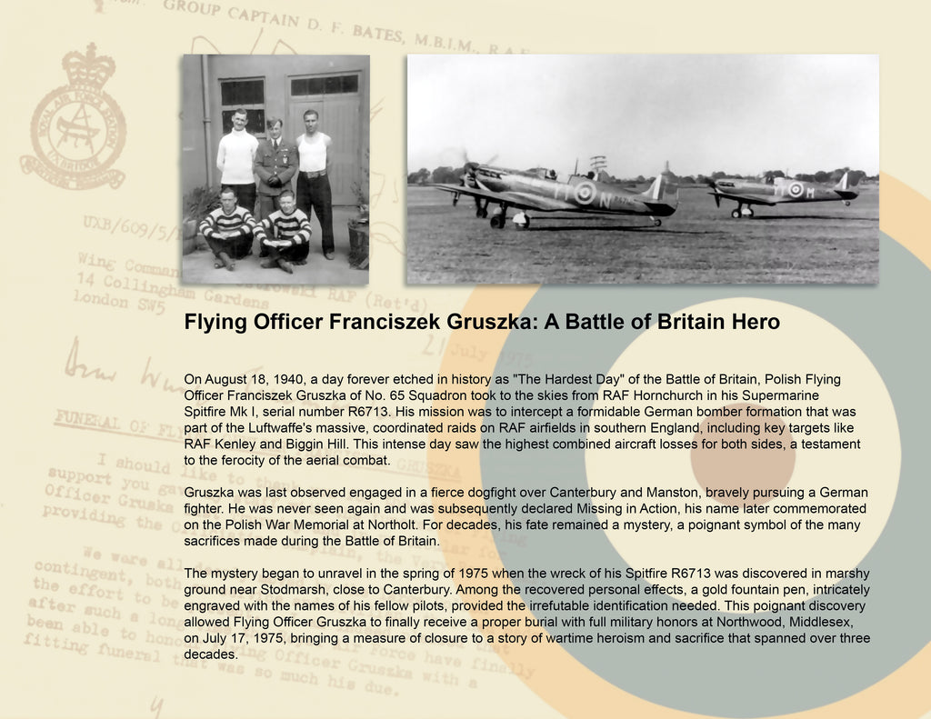 RAF Spitfire Mk.I Battle of Britain Combat Loss No. 65 Squadron RAF by Ron Cole