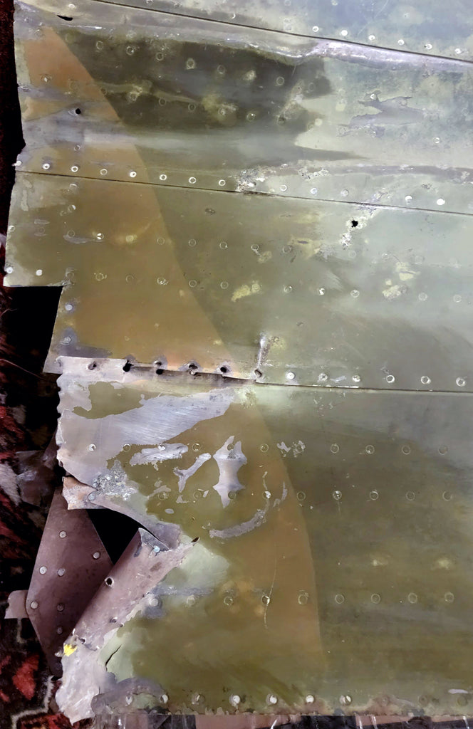 P-40E Warhawk 'Flying Tigers' Relic Display by Ron Cole