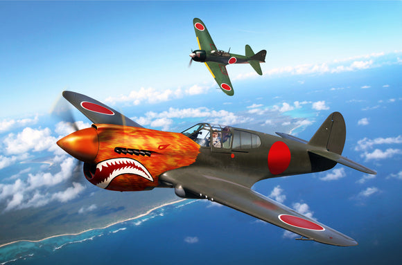 P-40E Warhawk in Captured Japanese Markings - Cole's Aircraft - 1