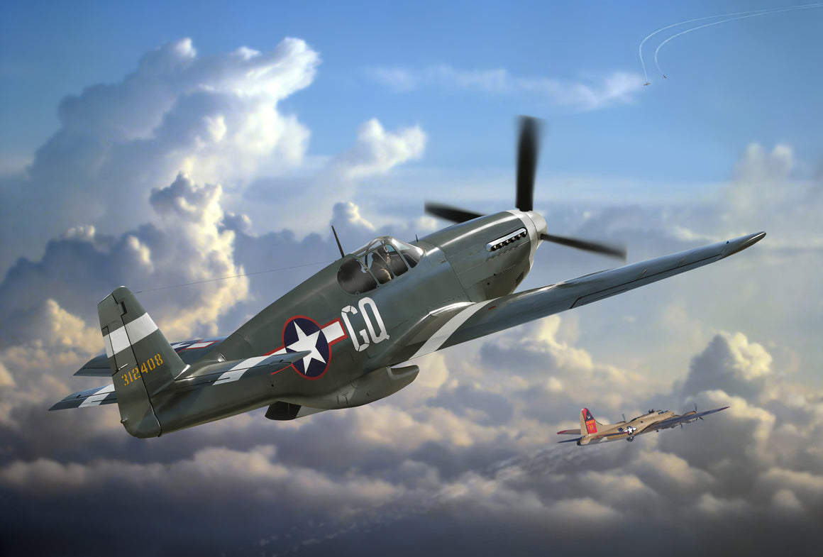 Say Hello to My Little Friend: P-51B Mustang - Cole's Aircraft - 1