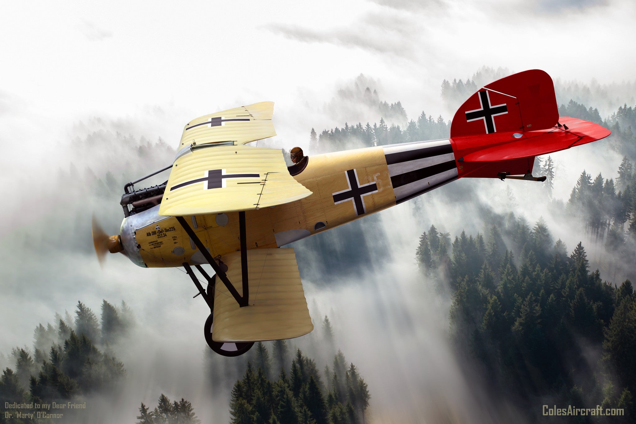 Albatros D.III Oeffag 253 in Austro-Hungarian Service c. 1918 - Cole's Aircraft - 1