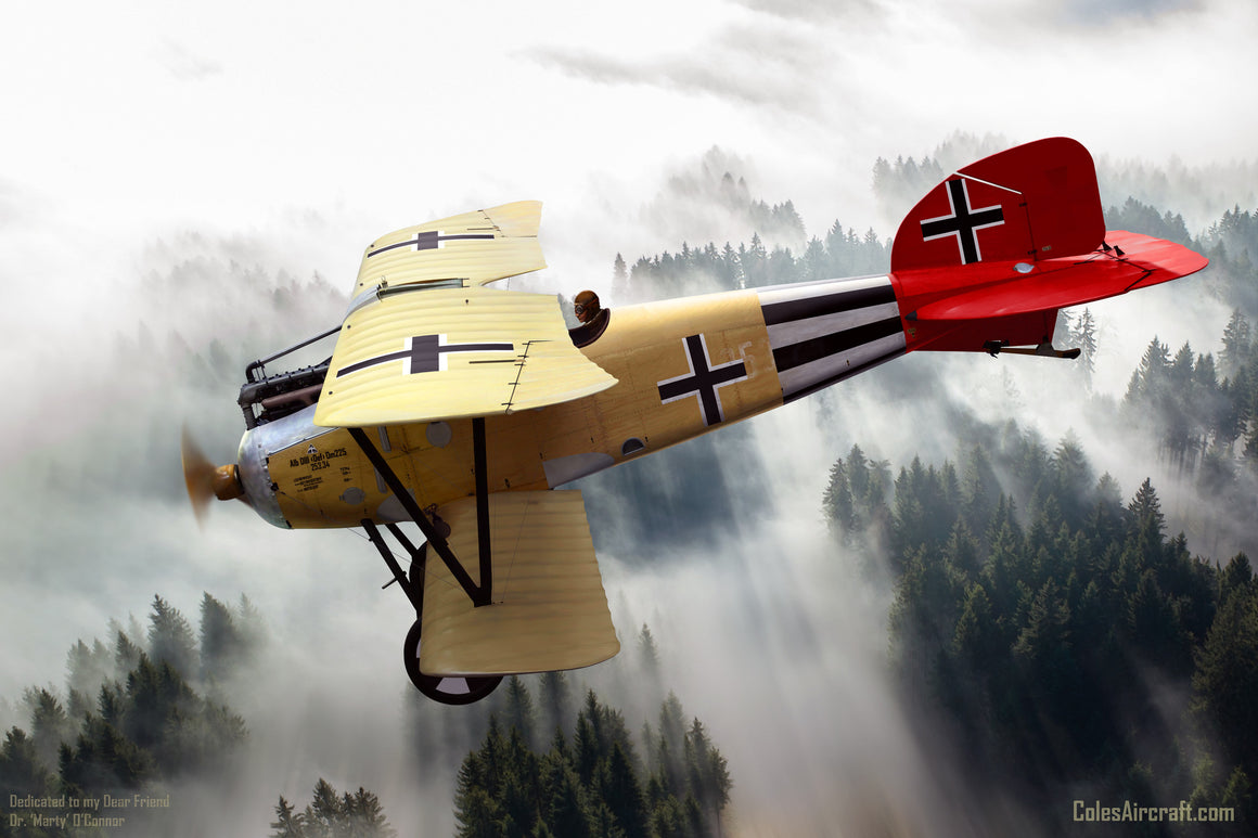 Albatros D.III Oeffag 253 in Austro-Hungarian Service c. 1918 - Cole's Aircraft - 1