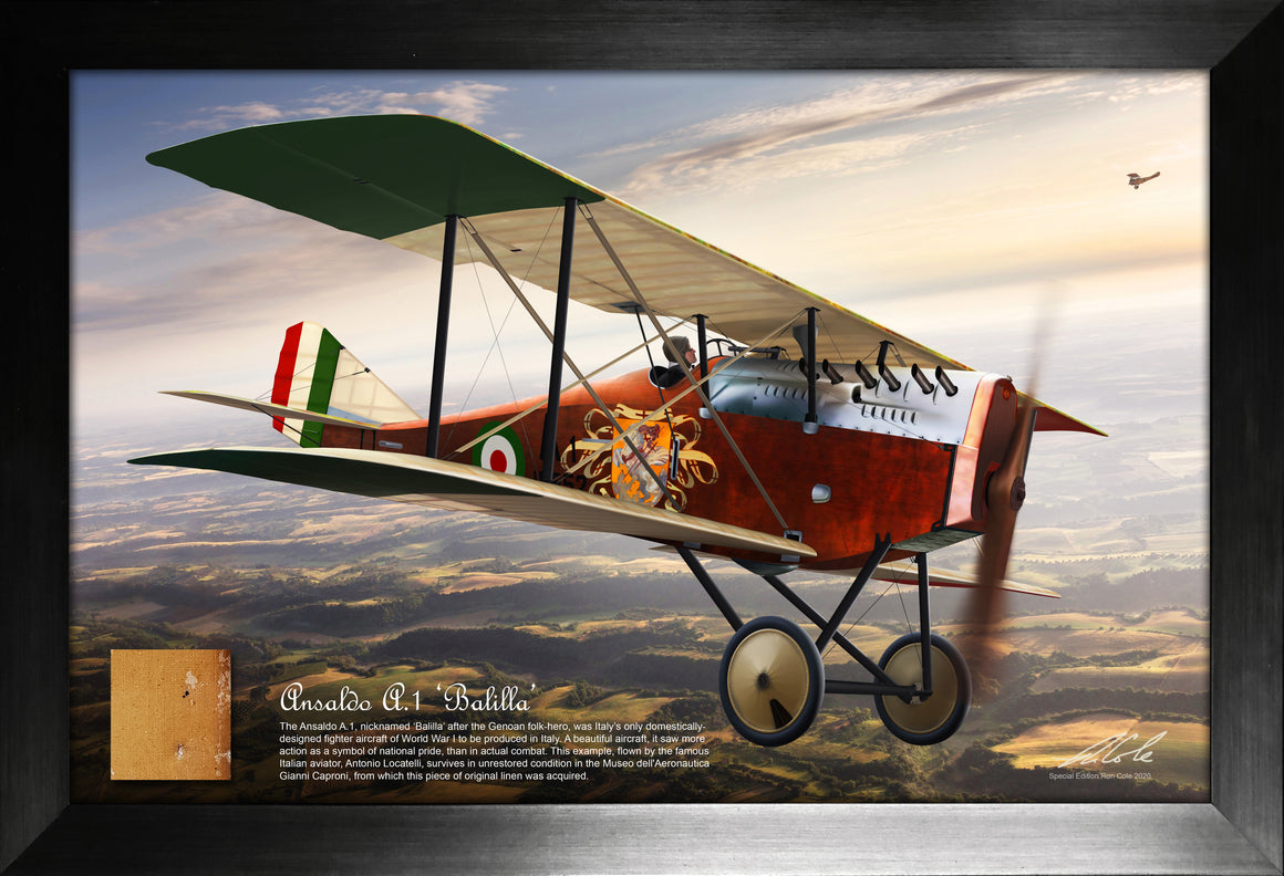 World War I Italian Alsaldo A.1 Balilla Original Linen Relic Display
