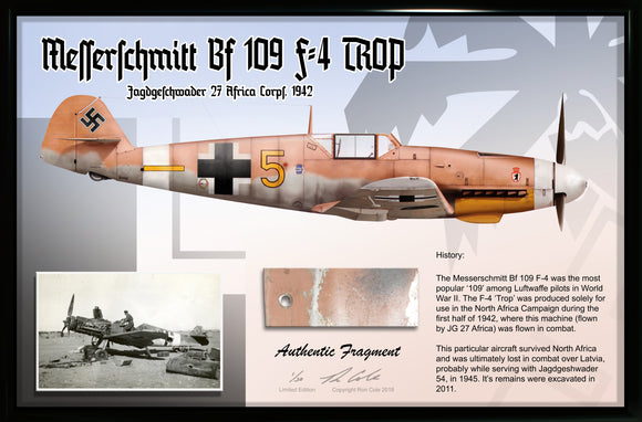 Luftwaffe Messerschmitt Bf 109 F-4 TROP Combat Loss Relic Display