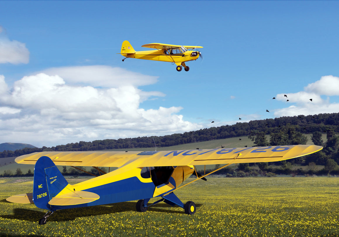 From Piper Cub to Super Cub Special - Cole's Aircraft - 1