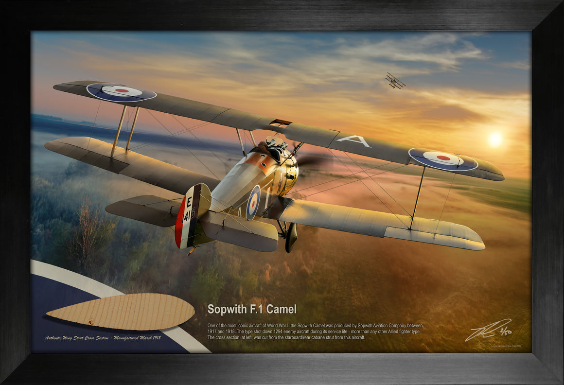 Sopwith F.1 Camel Wing Strut Cross Section Relic Display