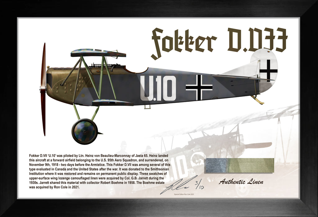 Fokker D.VII 'U.10' of Jasta 65 Lozenge Fabric Relic Display