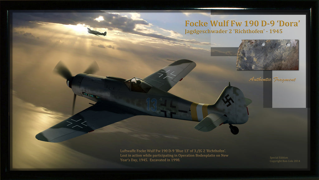 Luftwaffe Focke Wulf Fw 190 D-9 Relic Display #2 - Cole's Aircraft