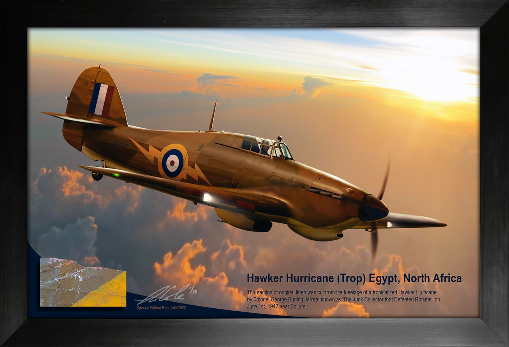 RAF Hawker Hurricane Trop North Africa Fabric Relic Display