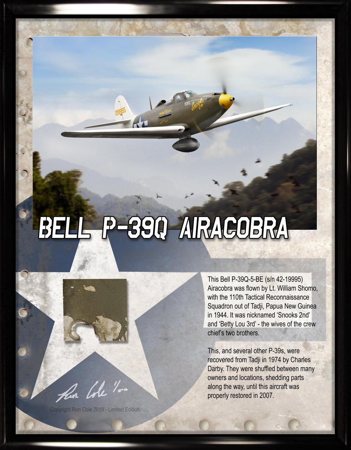 Bell P-39Q Airacobra South Pacific Theater Relic Display