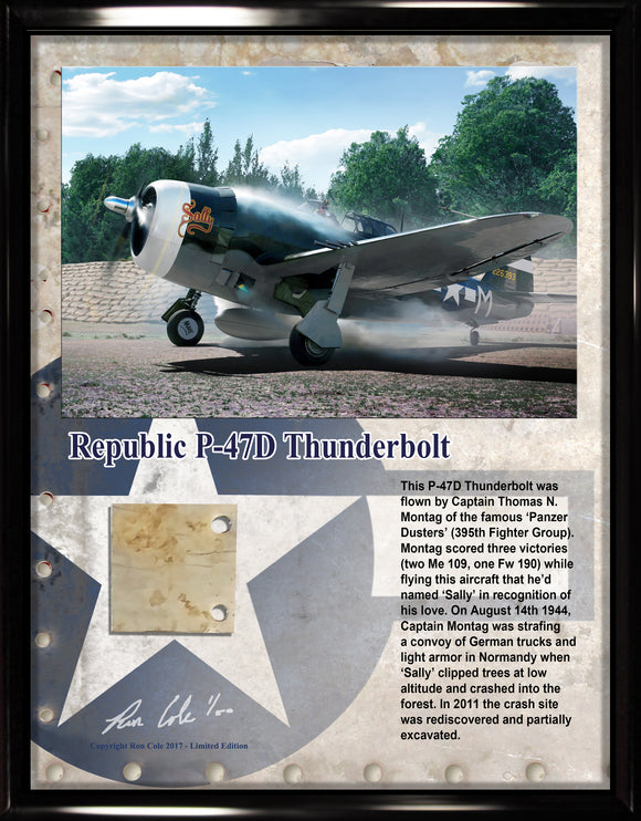 P-47 Razorback Thunderbolt Relic Display