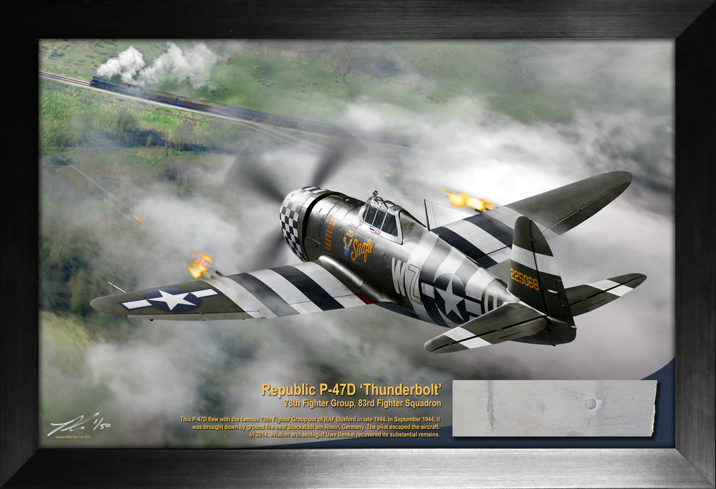 Republic P-47D ‘Thunderbolt’ 78th Fighter Group, 83rd Fighter Squadron Relic Display