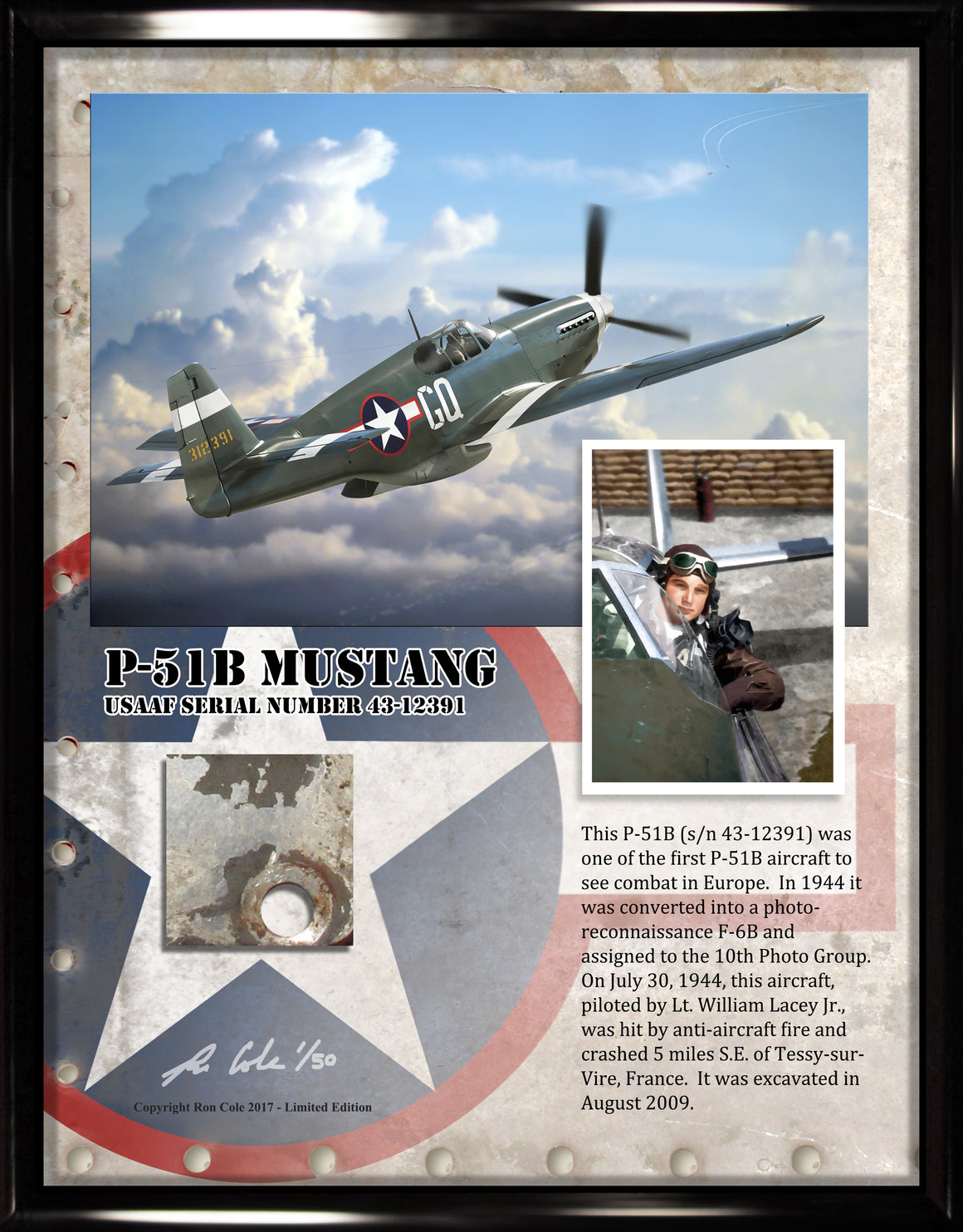P-51B / F6B Mustang Relic Display