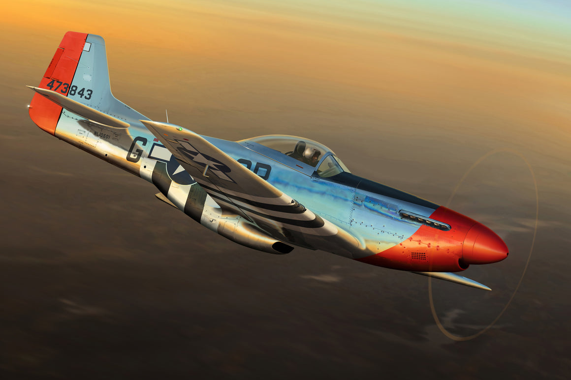 P-51D Mustang 'Red Nose' - Cole's Aircraft - 1
