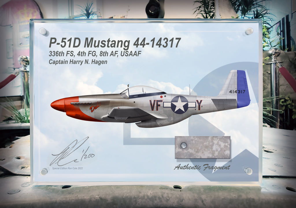P-51D Mustang Combat Veteran 6x8-inch Acrylic Desk Display