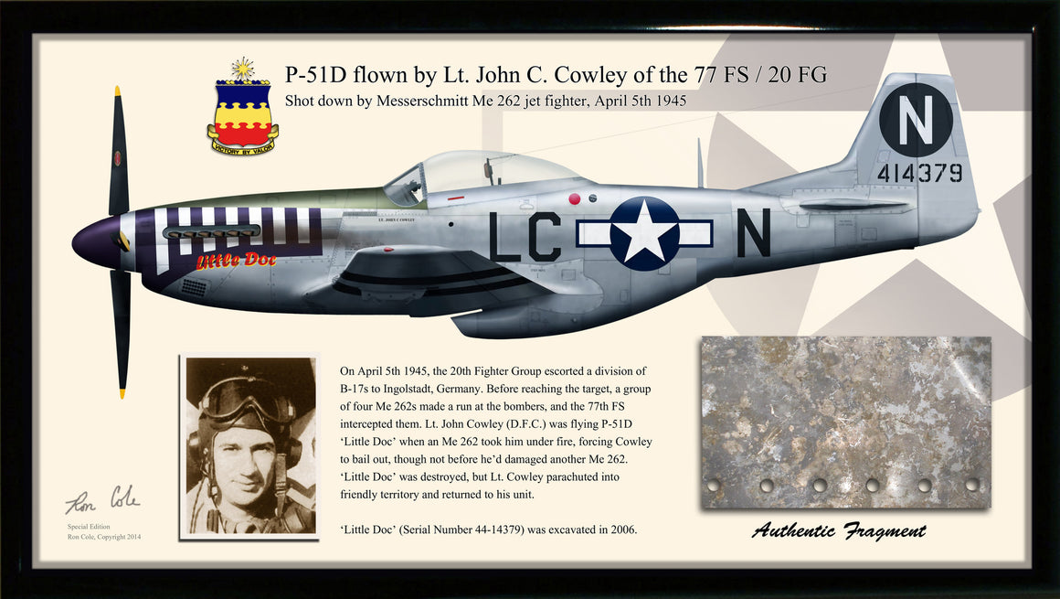P-51D Mustang, Me 262 Combat Loss Relic Display - Cole's Aircraft