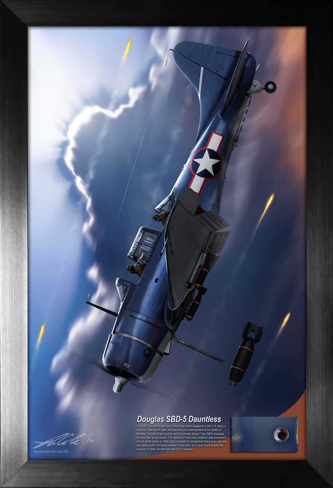 Douglas SBD Dauntless Relic Display by Ron Cole