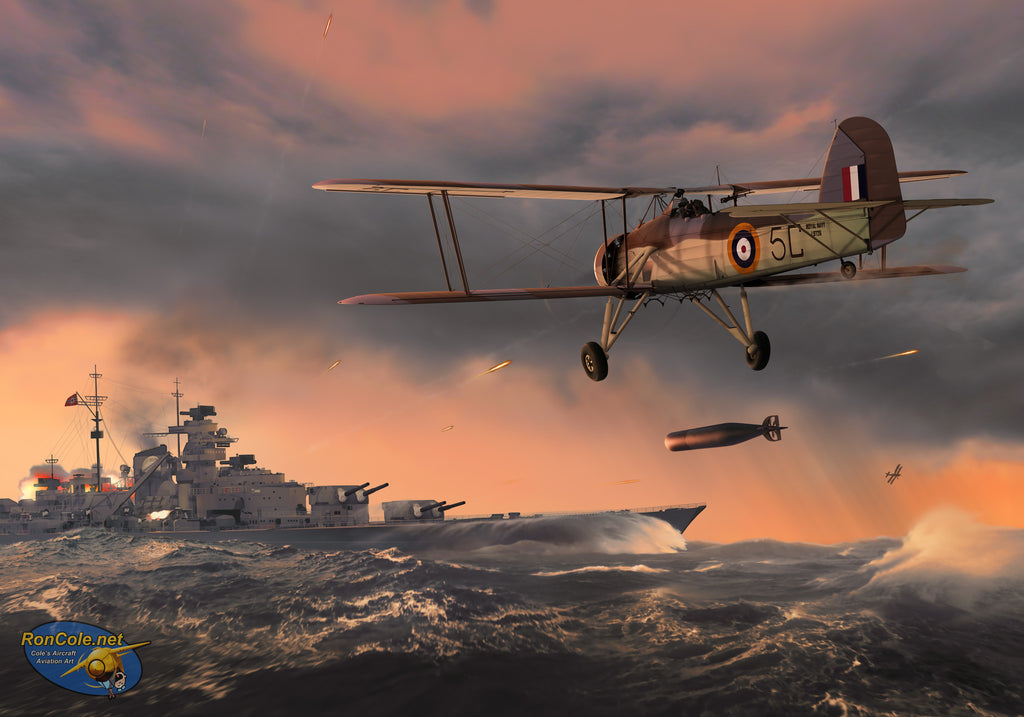 Avenging the Hood: Bismarck, and Swordfish of 818 Squadron RN - Cole's Aircraft - 1